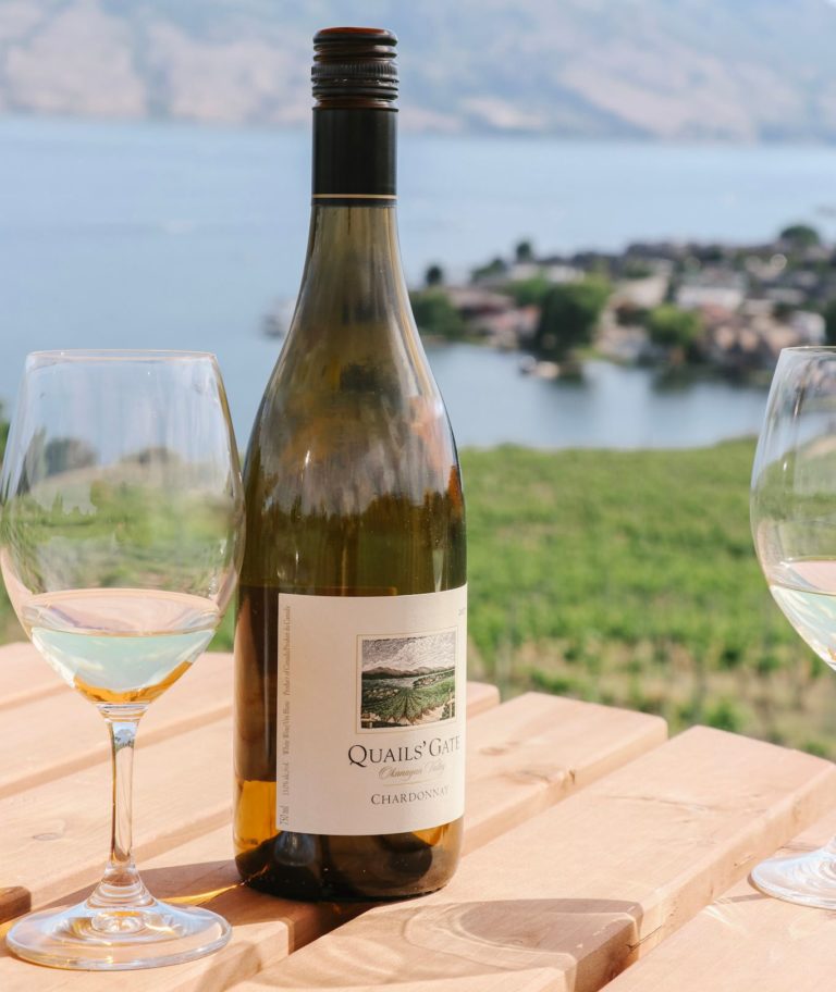 164340898 10158970368875871 7024297368505460569 o 1 768x912